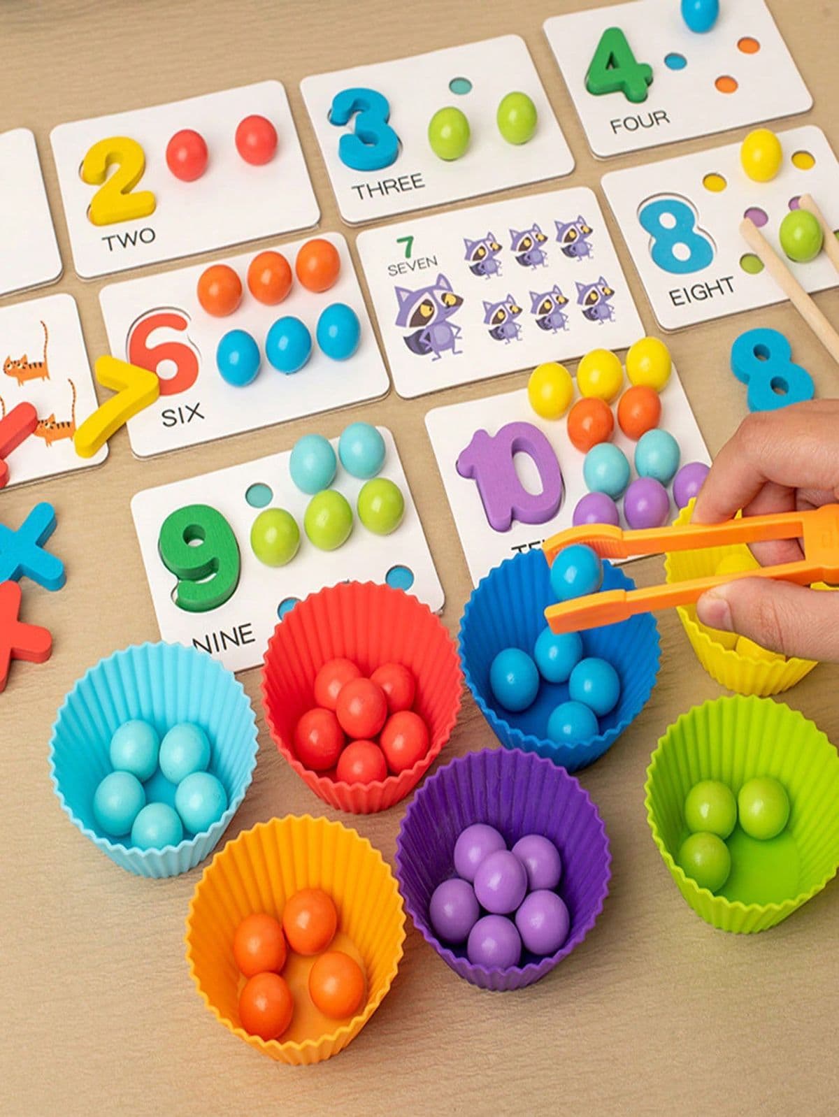 Educational Puzzle Set